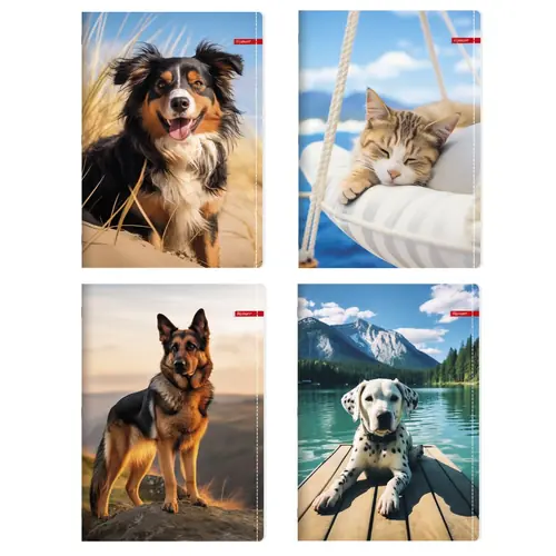 Bilježnica Ilijanum A4 70g 52L čista pets-1
