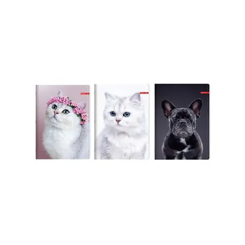 Bilježnica Ilijanum A4 70g 52L kocke pets-4