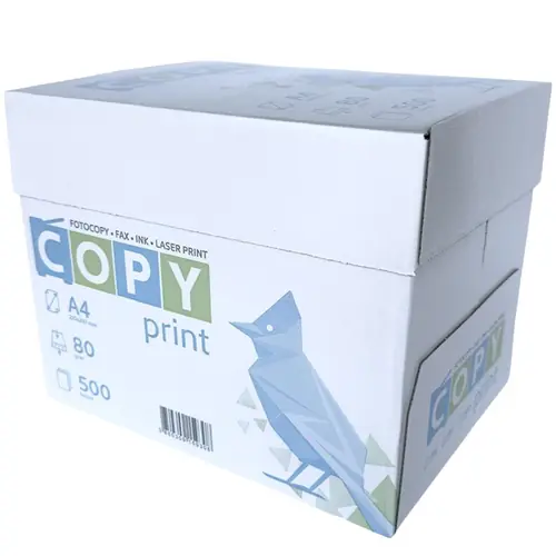 Papir Copy print (C klase) A4/80g bijeli 500L 65500213-2