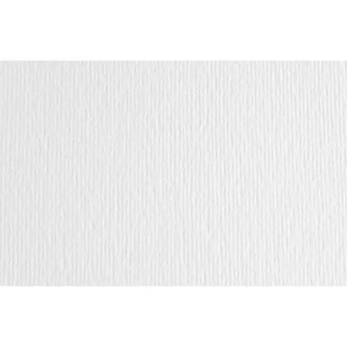 Papir Fabriano LR bianco/bijela 70x100 220g 46470100/91896764-0