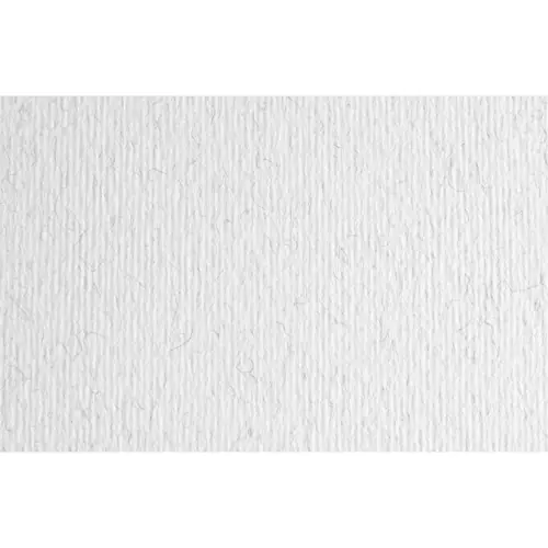 Papir Fabriano LR brina/mraz 70x100 220g 46470129-0