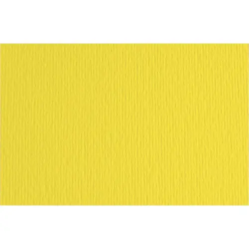 Papir Fabriano LR cedro/cedar 70x100 220g 46470125-0