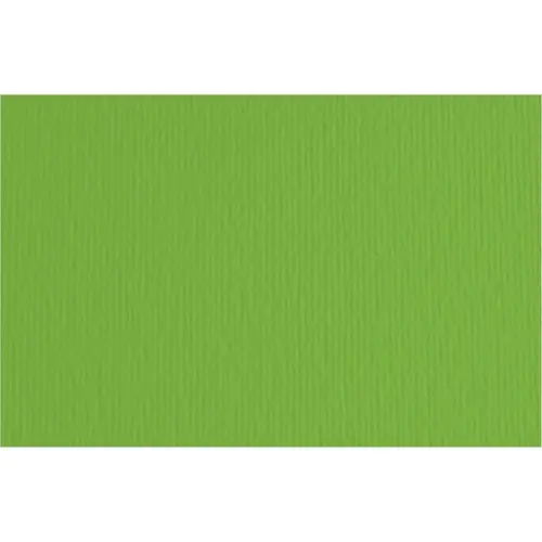 Papir Fabriano LR verde/zelena 70x100 220g 46470111/91896758-0