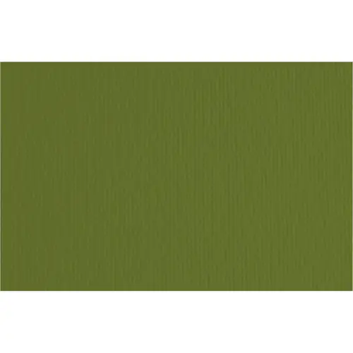 Papir Fabriano LR verdone/tamno zelena 70x100 220g 46470128-0