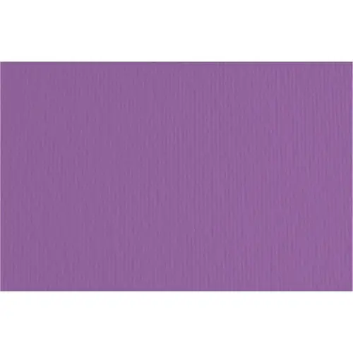 Papir Fabriano LR viola/ljubičasta  70x100 220g 46470104-0