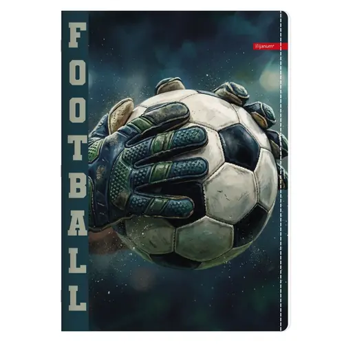 Bilježnica Ilijanum A4 70g 52L čista sport-7
