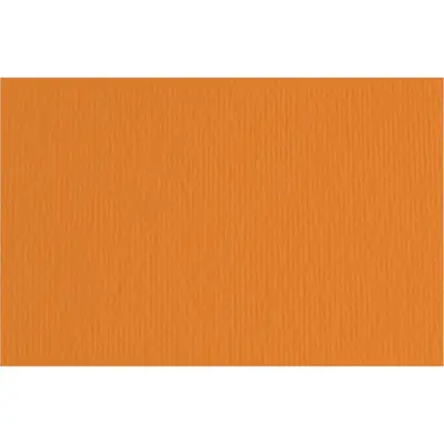 Papir Fabriano LR arancio/narančasta 70x100 220g 46470108-0