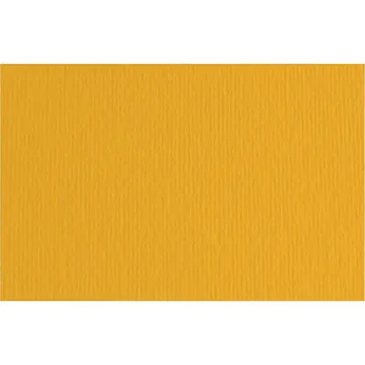 Papir Fabriano LR avana 70x100 220g 46470103-0
