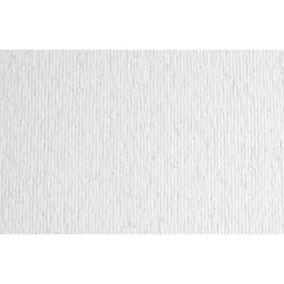 Papir Fabriano LR brina/mraz 70x100 220g 46470129-0