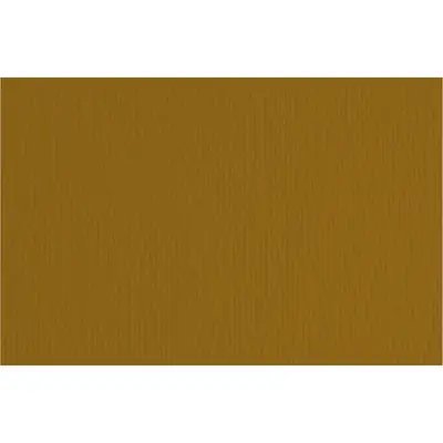 Papir Fabriano LR marrone  70x100 220g 46470106-0