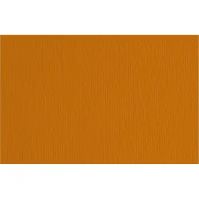 Papir Fabriano LR t.bruciata/smeđa 70x100 220g 46470119