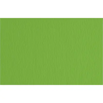 Papir Fabriano LR verde/zelena 70x100 220g 46470111/91896758-0