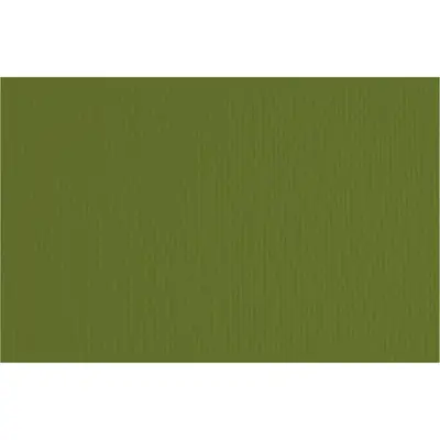 Papir Fabriano LR verdone/tamno zelena 70x100 220g 46470128