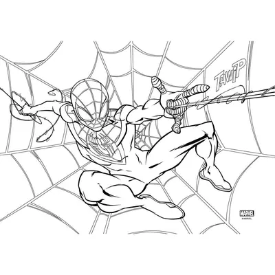 Blok za bojanje Spiderman 23x33cm 40L 508554 zamjena 80894-4